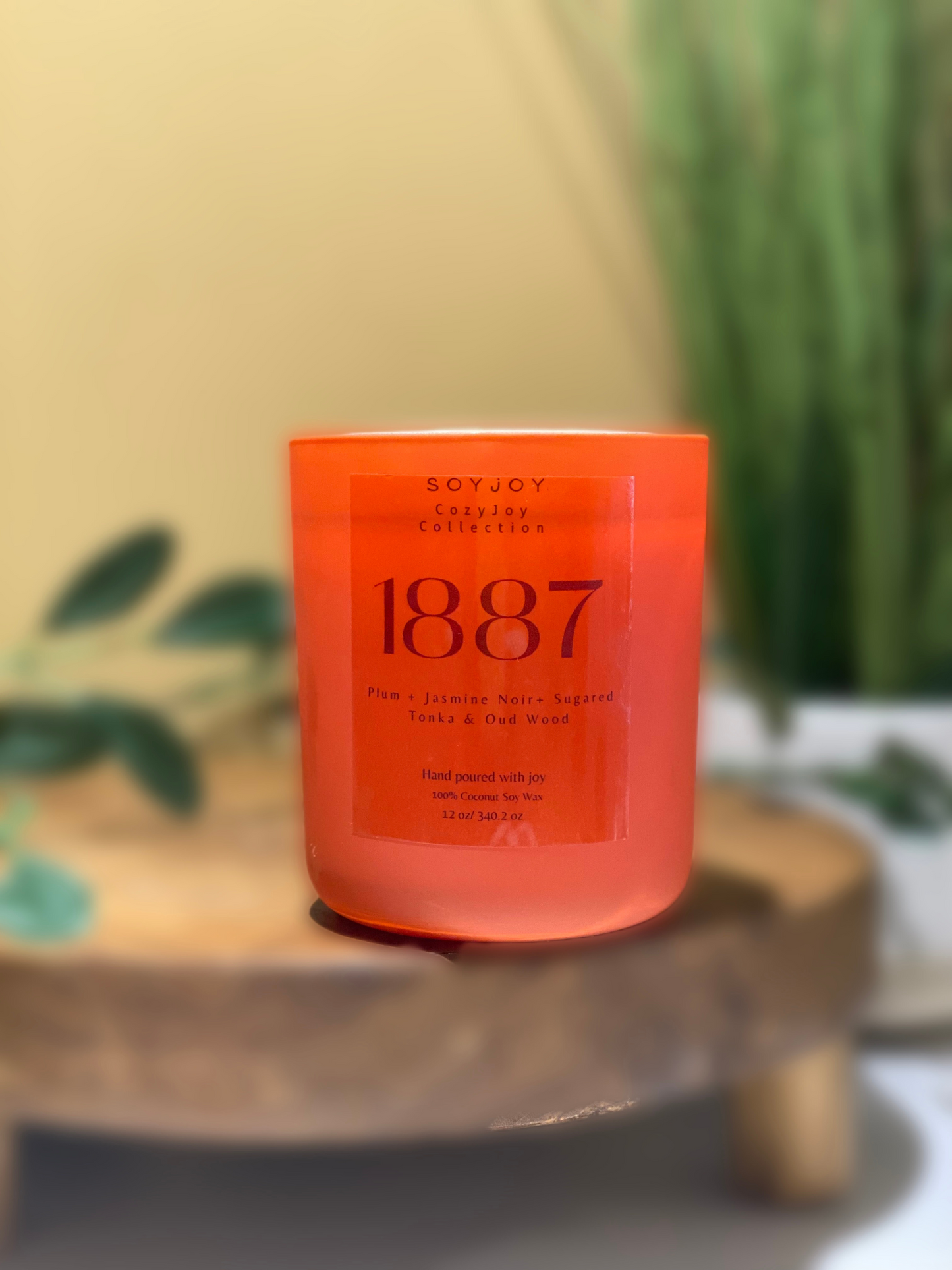 1887 (Limited Edition)